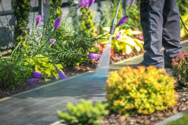 Best Restaurant Pressure Washing  in Wyoming, OH