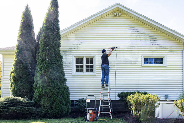 Best Sidewalk and Walkway Cleaning  in Wyoming, OH