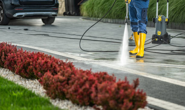 Best Roof Washing  in Wyoming, OH